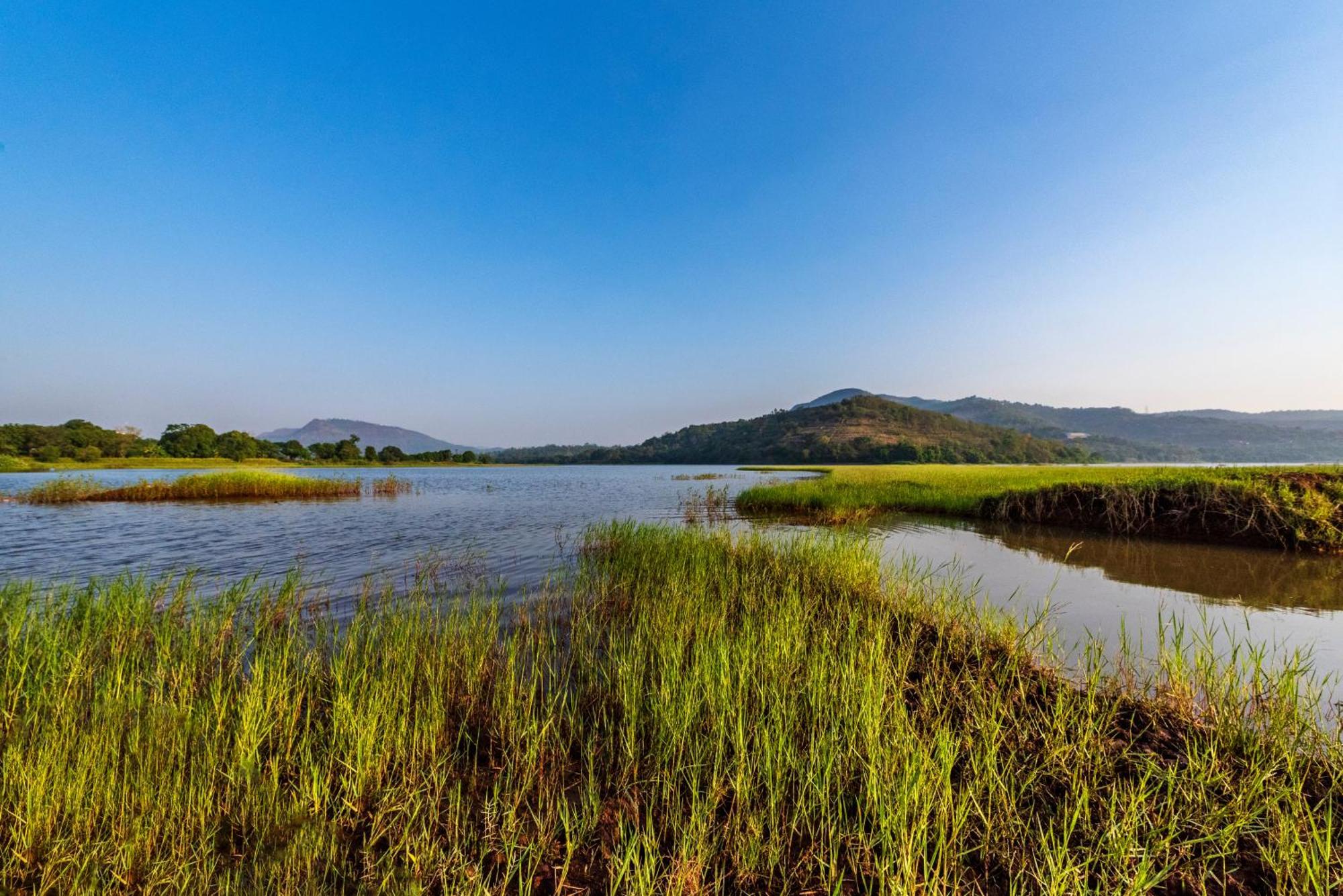 Saffronstays Lakeview Nivara - Farm Stay Villa With Private Pool Near Пуна Экстерьер фото